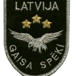 Gaisa Spēku uzšuve formas tērpam. kopija (ID175)