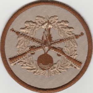 Alternatīvs Sauszemes spēku Mehanizētās kājnieku brigādes uzšuves kopija (ID419) skats