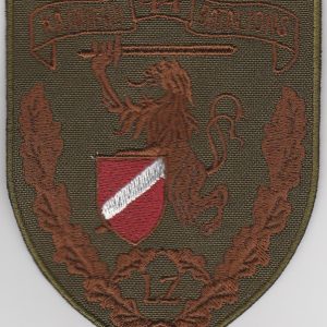 Zemessardzes 44.bataljona uzšuves kopija (ID619)