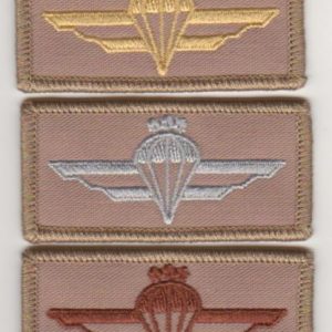 Alternatīvs Izpletņlēcēju kvalifikācijas zīmju uzšuves skats